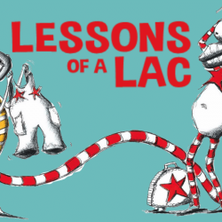 Lessons of a LAC